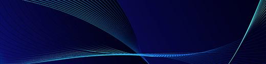 High Performance Leadership