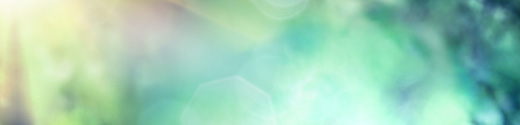 Climate Action Planning for SMEs