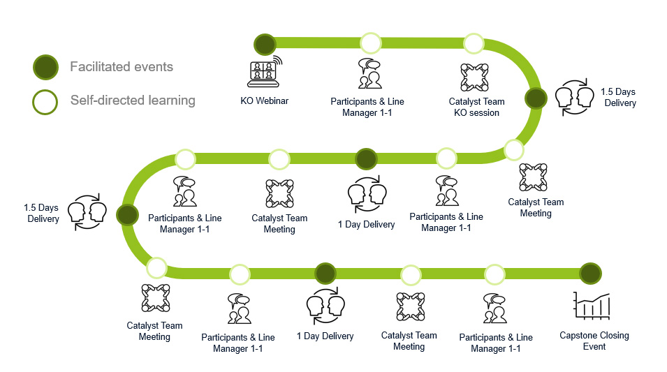 Delivery Plan